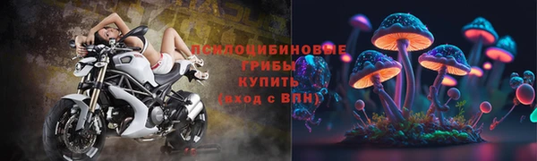 мет Аркадак