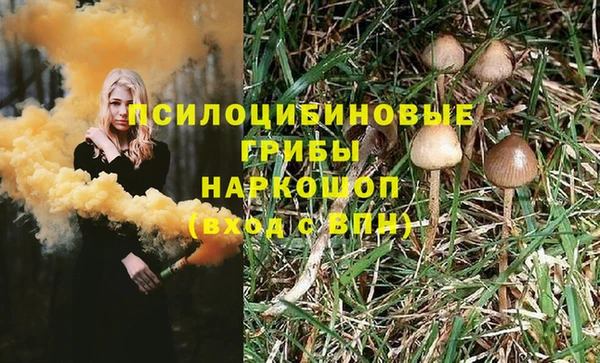 мет Аркадак