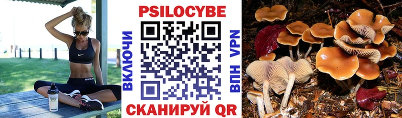 Галлюциногенные грибы мухоморы купить наркотики цена Семикаракорск